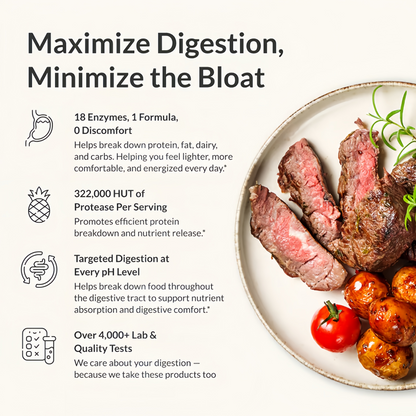 BIOptimizers MassZymes - Complete Digestive Enzymes Supplement for Gut Health - Bloating Relief for Men and Women - Lipase Amylase Bromelain Digestive Enzymes (60 Capsules)